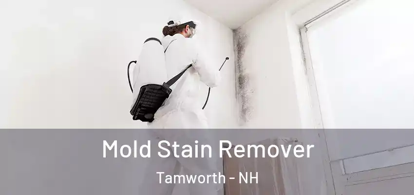 Mold Stain Remover Tamworth - NH