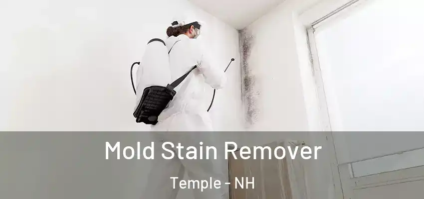  Mold Stain Remover Temple - NH