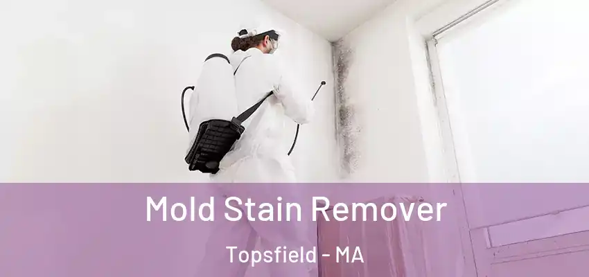  Mold Stain Remover Topsfield - MA