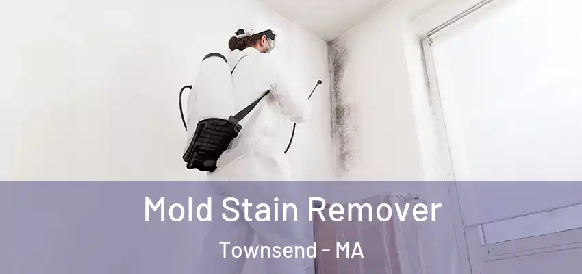  Mold Stain Remover Townsend - MA