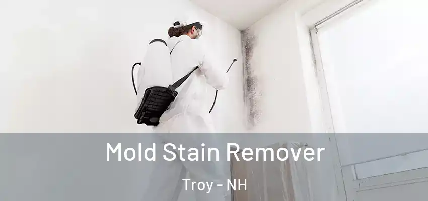  Mold Stain Remover Troy - NH