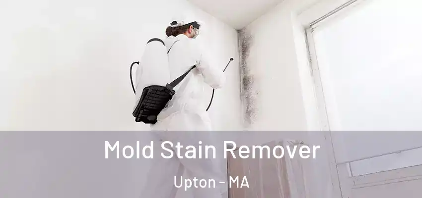 Mold Stain Remover Upton - MA