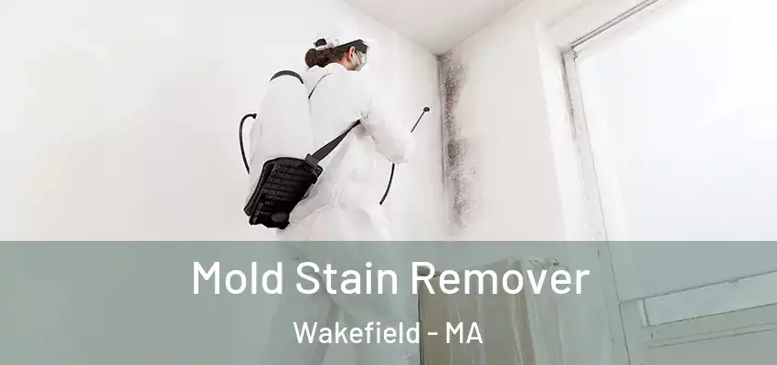  Mold Stain Remover Wakefield - MA