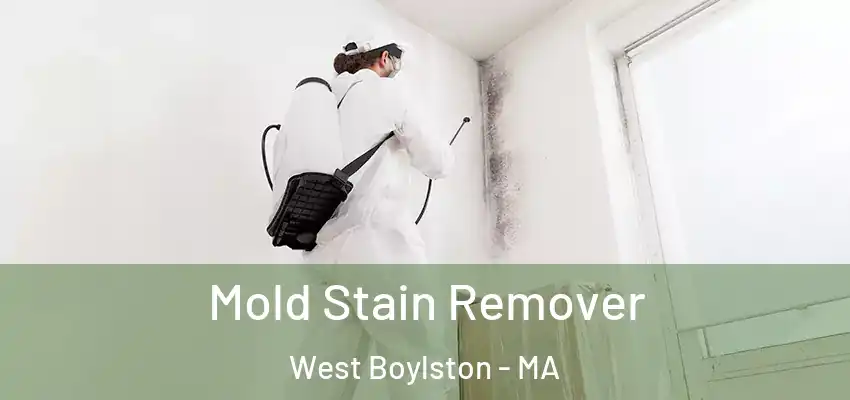 Mold Stain Remover West Boylston - MA