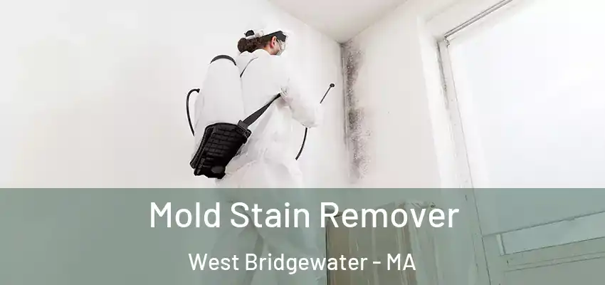 Mold Stain Remover West Bridgewater - MA