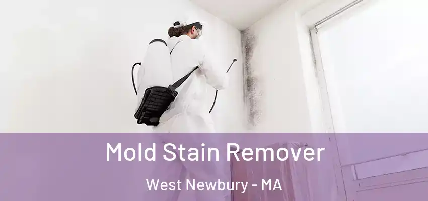  Mold Stain Remover West Newbury - MA