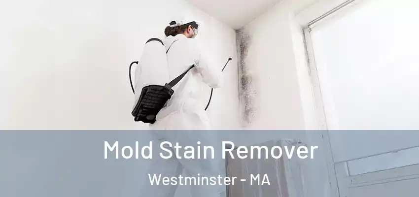  Mold Stain Remover Westminster - MA