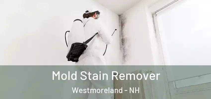 Mold Stain Remover Westmoreland - NH