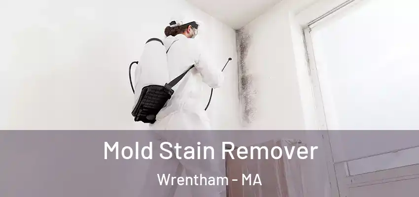 Mold Stain Remover Wrentham - MA