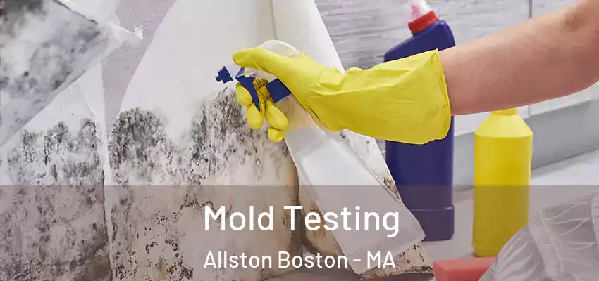  Mold Testing Allston Boston - MA