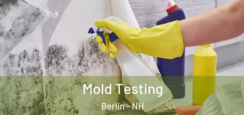  Mold Testing Berlin - NH
