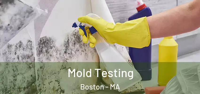  Mold Testing Boston - MA
