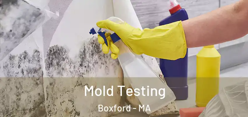  Mold Testing Boxford - MA