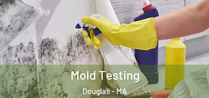 Mold Testing Douglas - MA