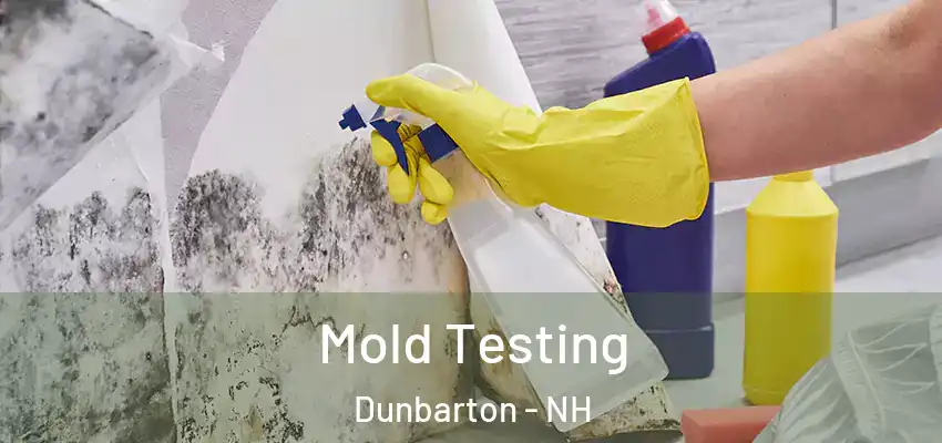  Mold Testing Dunbarton - NH