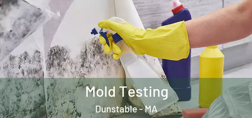  Mold Testing Dunstable - MA