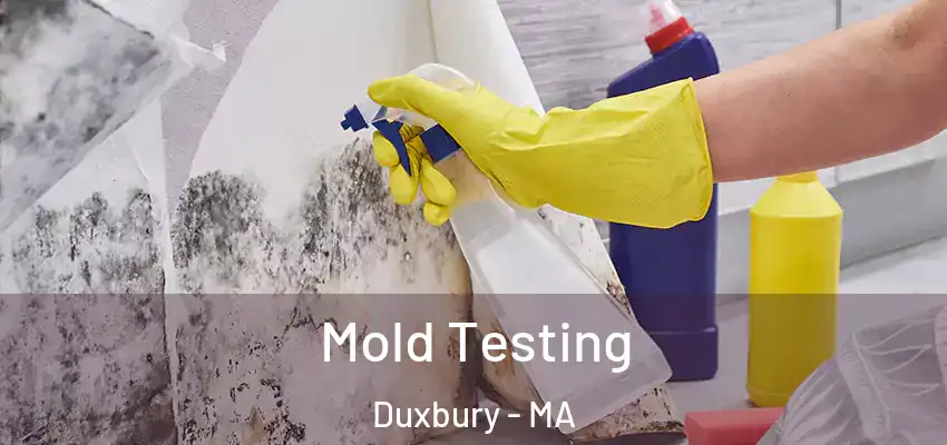  Mold Testing Duxbury - MA