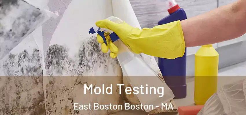  Mold Testing East Boston Boston - MA
