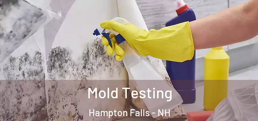  Mold Testing Hampton Falls - NH