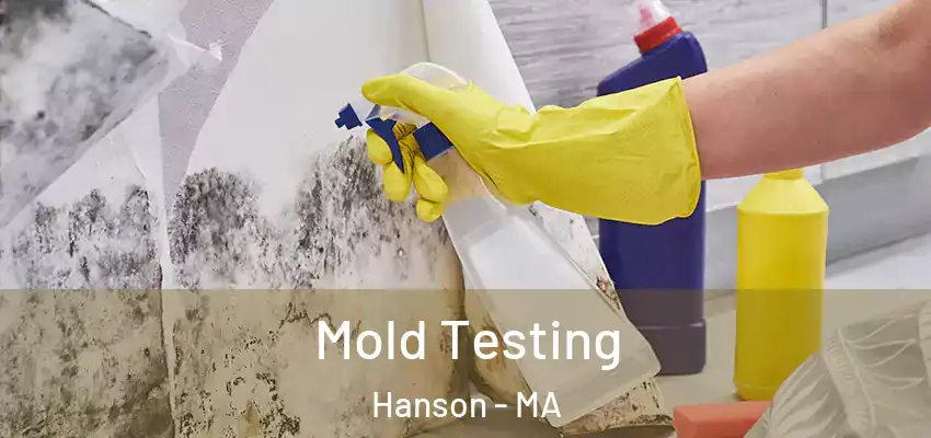  Mold Testing Hanson - MA