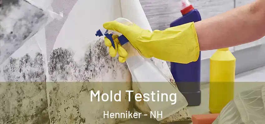  Mold Testing Henniker - NH
