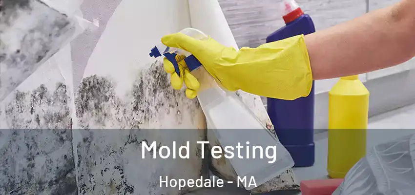  Mold Testing Hopedale - MA