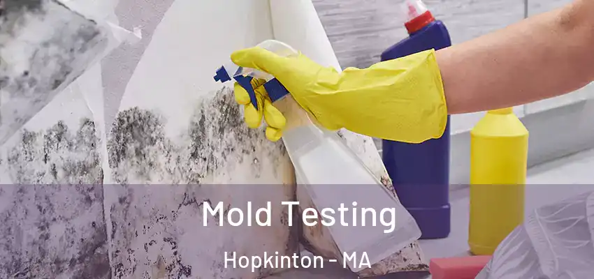  Mold Testing Hopkinton - MA