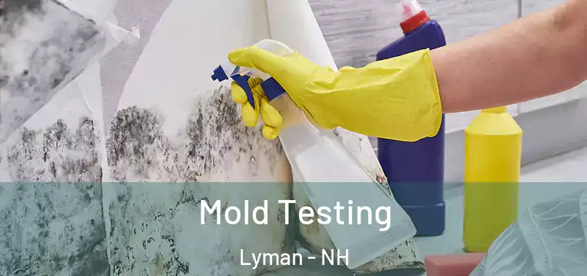  Mold Testing Lyman - NH
