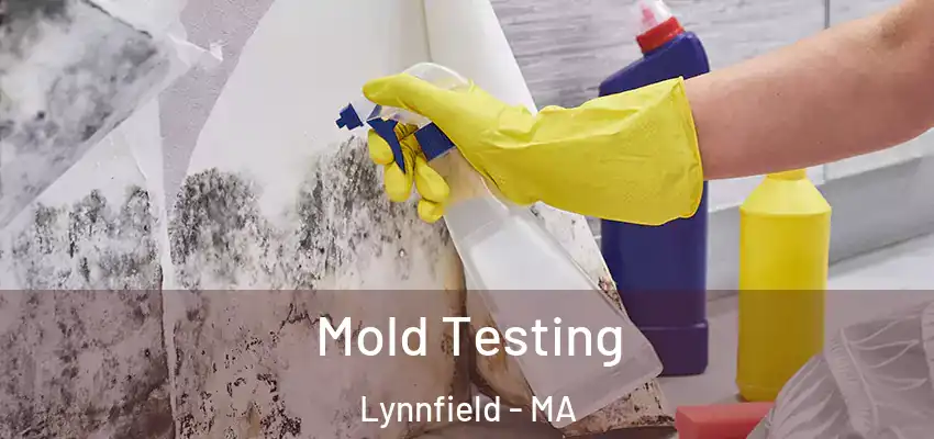  Mold Testing Lynnfield - MA