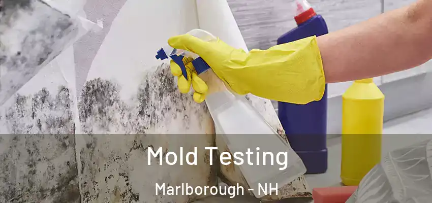 Mold Testing Marlborough - NH