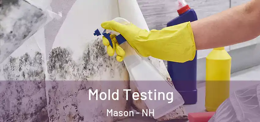  Mold Testing Mason - NH