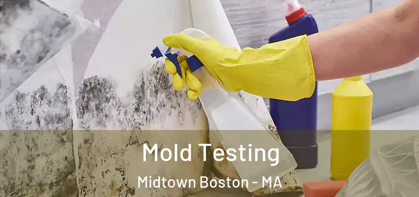  Mold Testing Midtown Boston - MA