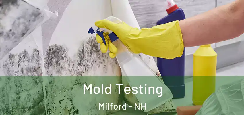  Mold Testing Milford - NH