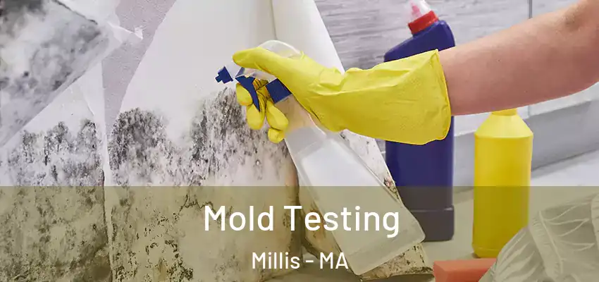  Mold Testing Millis - MA
