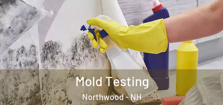  Mold Testing Northwood - NH