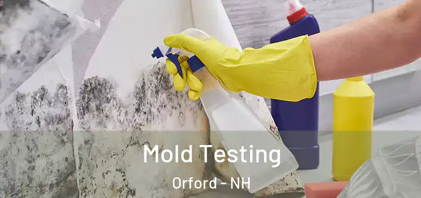  Mold Testing Orford - NH