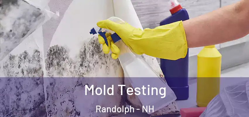  Mold Testing Randolph - NH