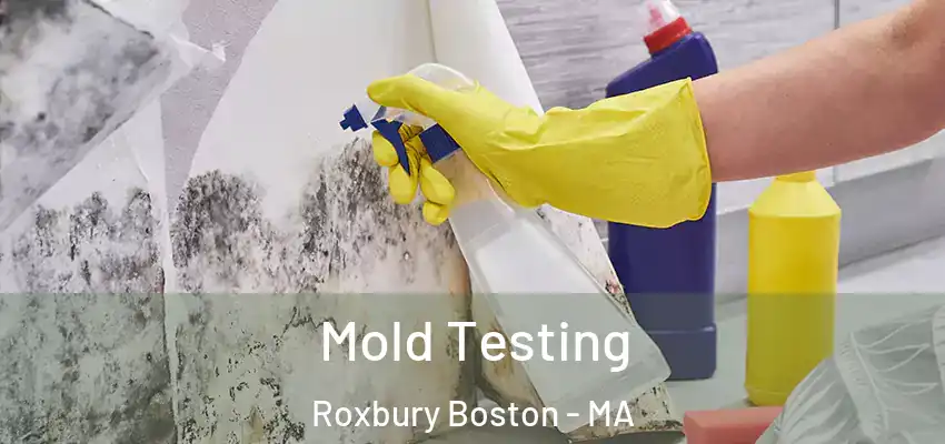  Mold Testing Roxbury Boston - MA