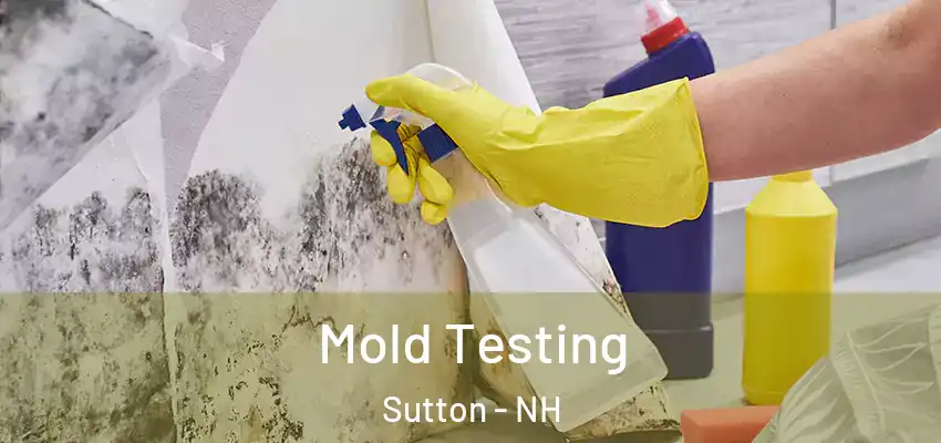  Mold Testing Sutton - NH