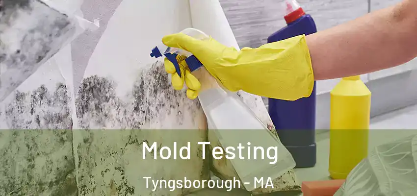  Mold Testing Tyngsborough - MA