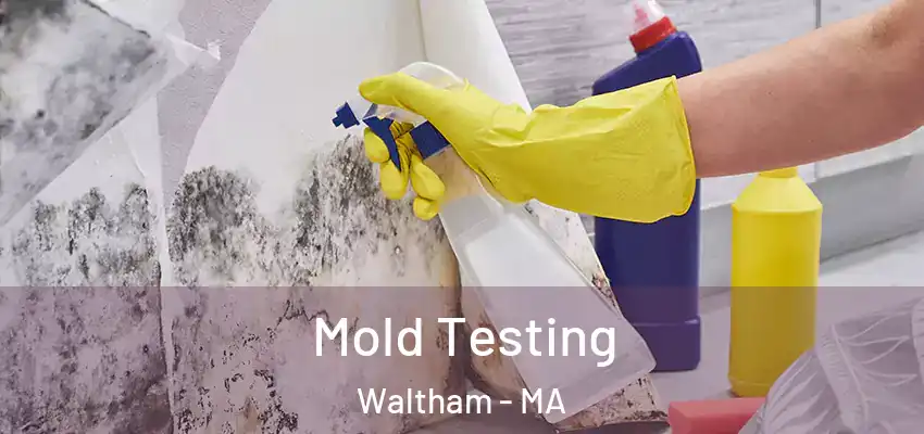  Mold Testing Waltham - MA