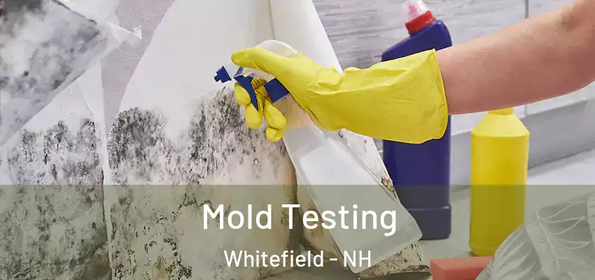  Mold Testing Whitefield - NH