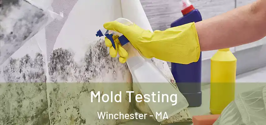  Mold Testing Winchester - MA