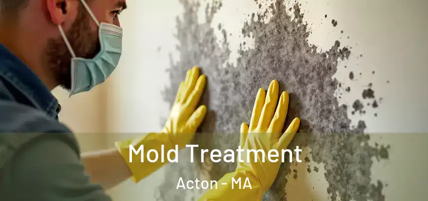 Mold Treatment Acton - MA