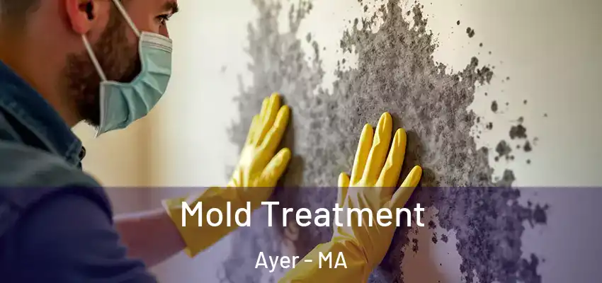  Mold Treatment Ayer - MA