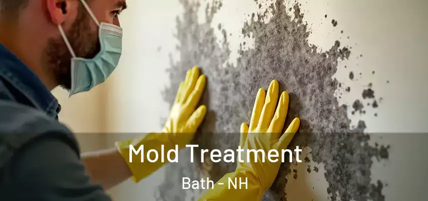  Mold Treatment Bath - NH