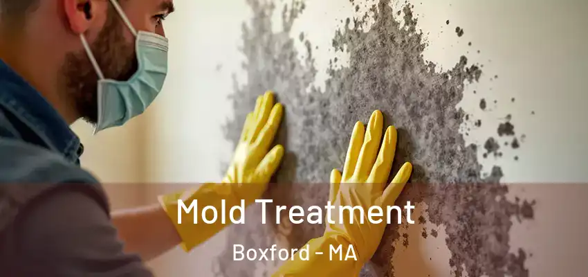  Mold Treatment Boxford - MA