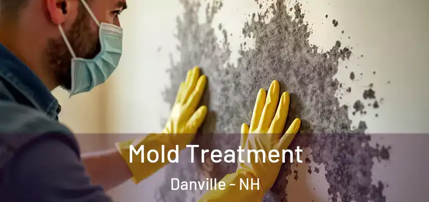 Mold Treatment Danville - NH