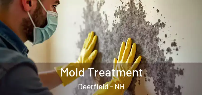 Mold Treatment Deerfield - NH