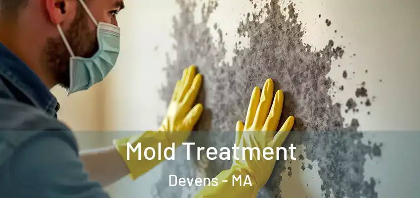  Mold Treatment Devens - MA